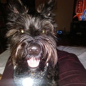 Meet your Posher, Ann